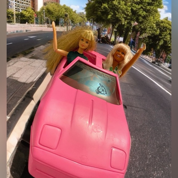 Its Dusty the Hitchhiker - Picture 2 of 2